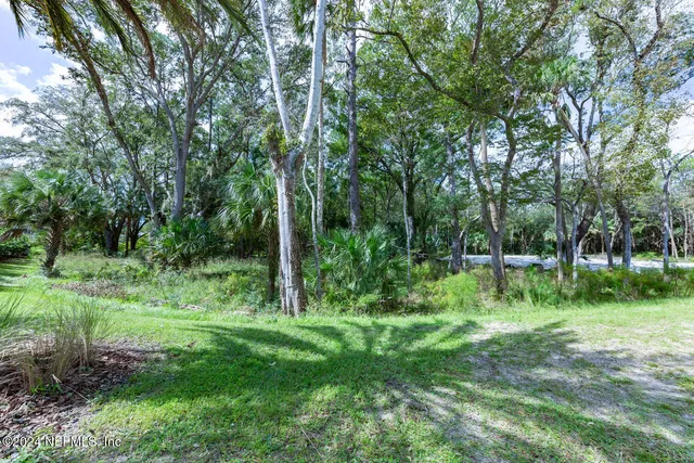 a view of a lush green forest