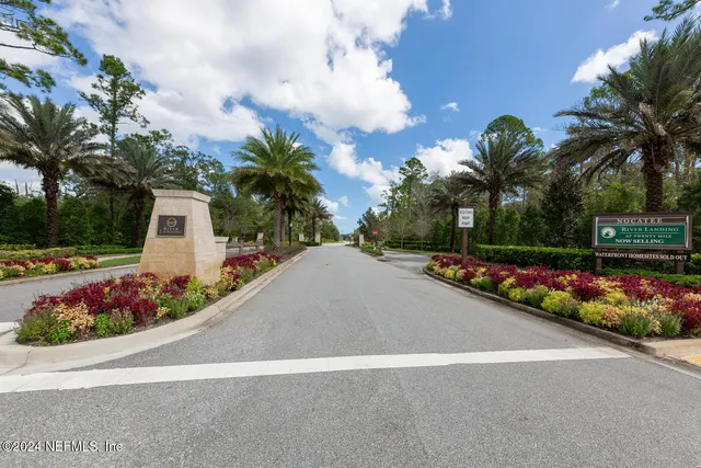 a view of a park with palm trees