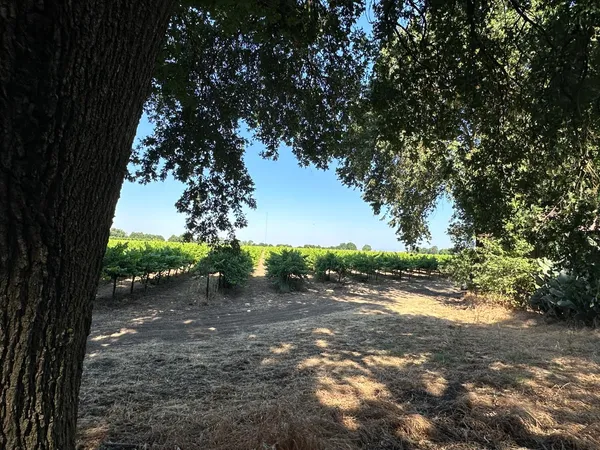 $2,999,000 | 27925 Thornton Road, Thornton, CA 95632