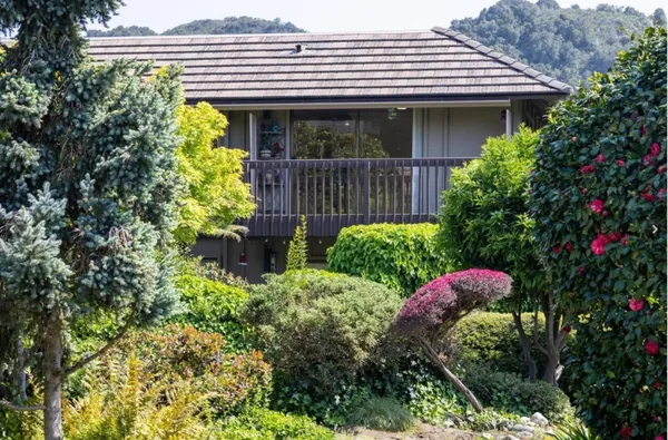 a view of a house with potted plants
