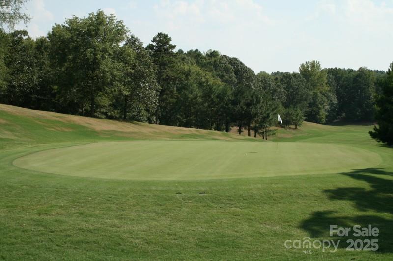 11055 Holiday Cove Lane Tega Cay, SC 29708 - Photo 37 of 39 a view of a golf course with a lake