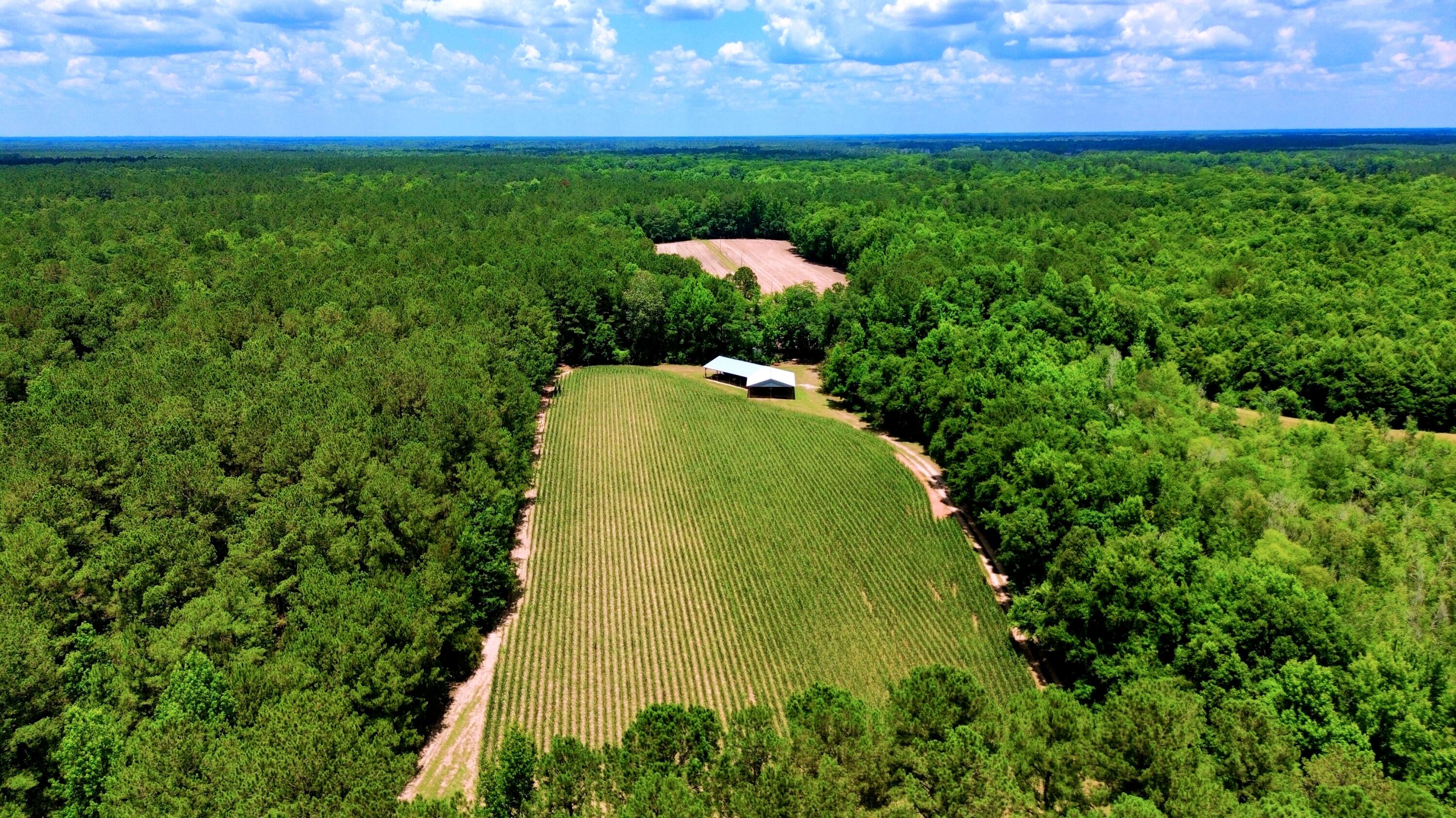 1970 Cross Swamp Road Islandton, SC 29929 - Photo 111 of 150
