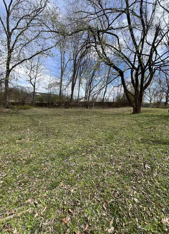 a view of a yard with large trees