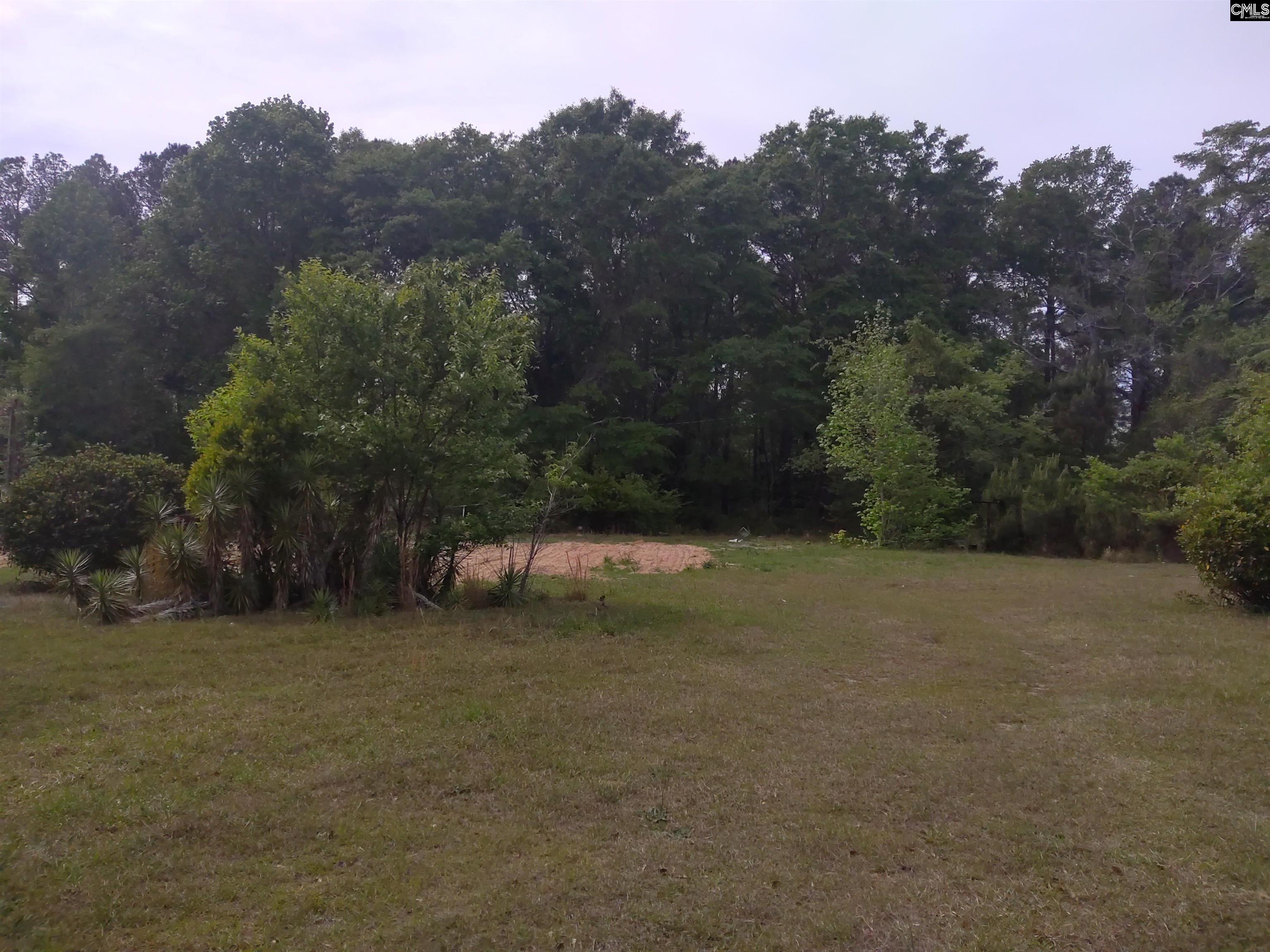 242 Ault Road Hopkins, SC 29061 - Photo 9 of 15