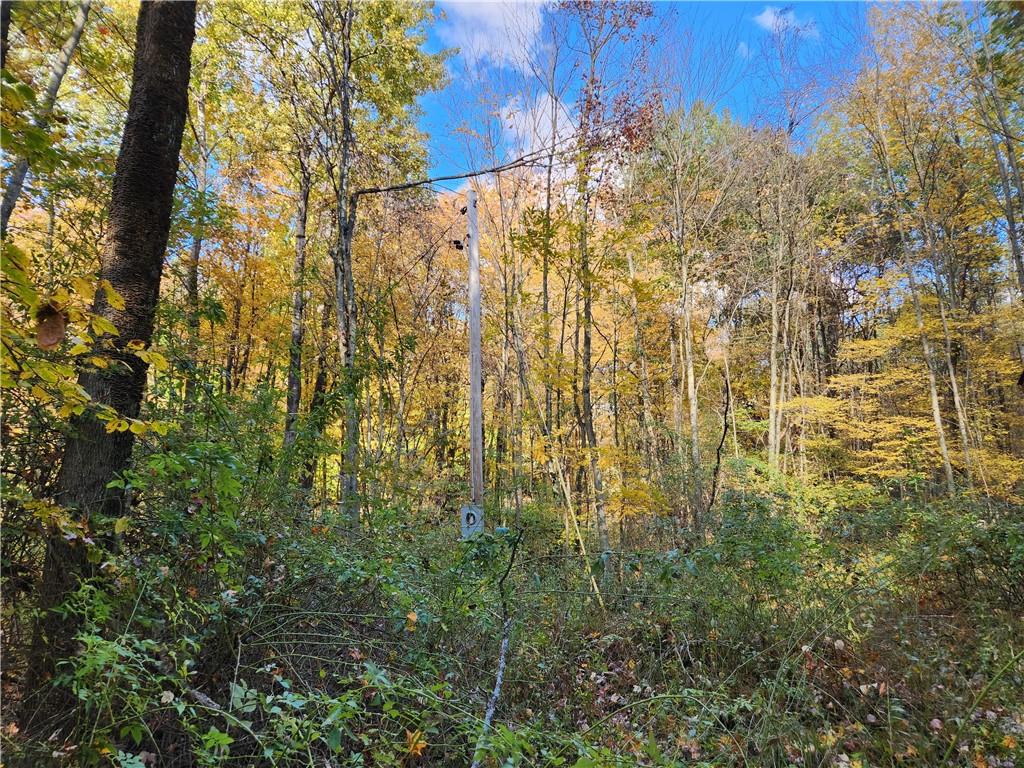 34227 Hamilton Road Centerville, PA 16404 - Photo 7 of 11 a view of a yard of a building