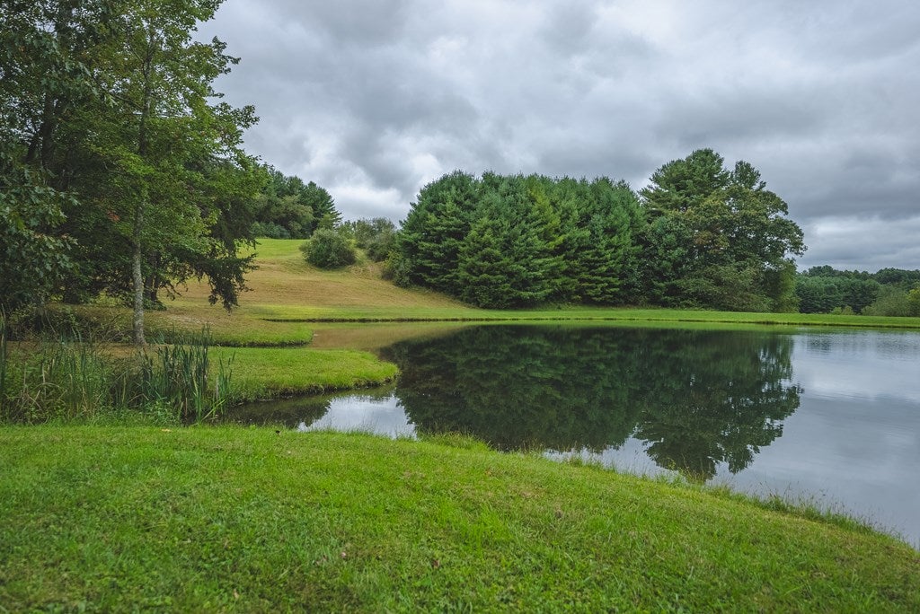 2066 Webbs Mill Road North Floyd, VA 24091 - Photo 46 of 77 Gallery Image 46