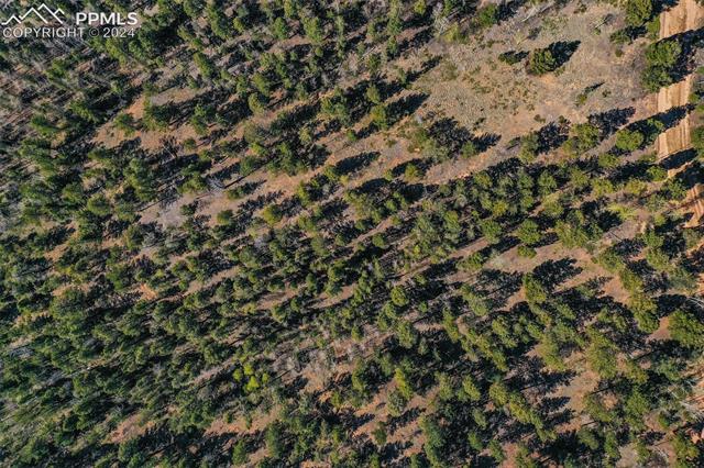 1100 Elk Ridge South Divide, CO 80814 - Photo 13 of 34
