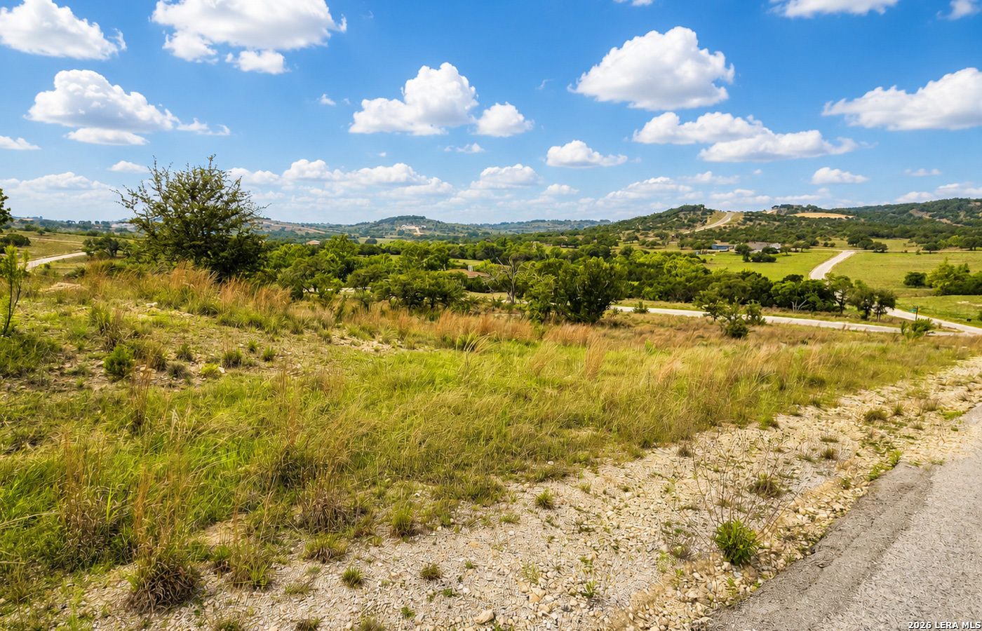 Tbd Falling Oak Blanco, TX 78606 - Photo 6 of 21