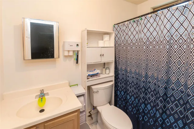 a bathroom with a sink toilet and mirror