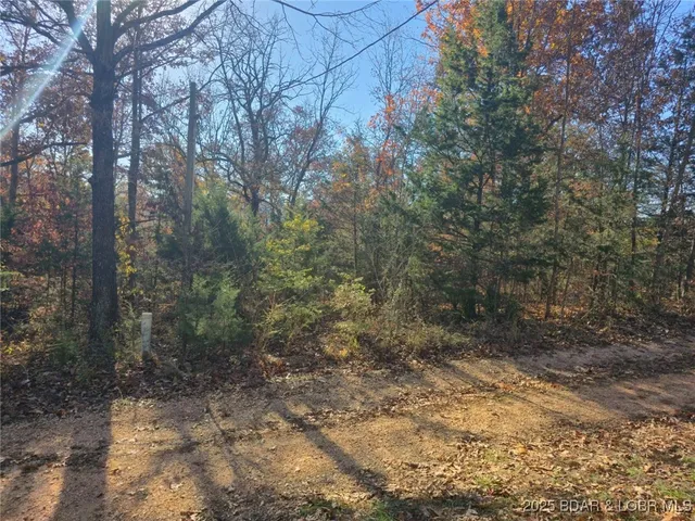 $20,000 | 59-61 Wildwood Road, Stover, MO 65078