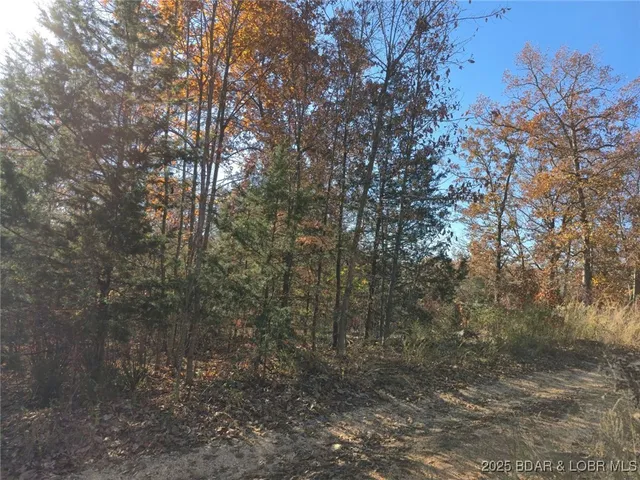 $20,000 | 59-61 Wildwood Road, Stover, MO 65078