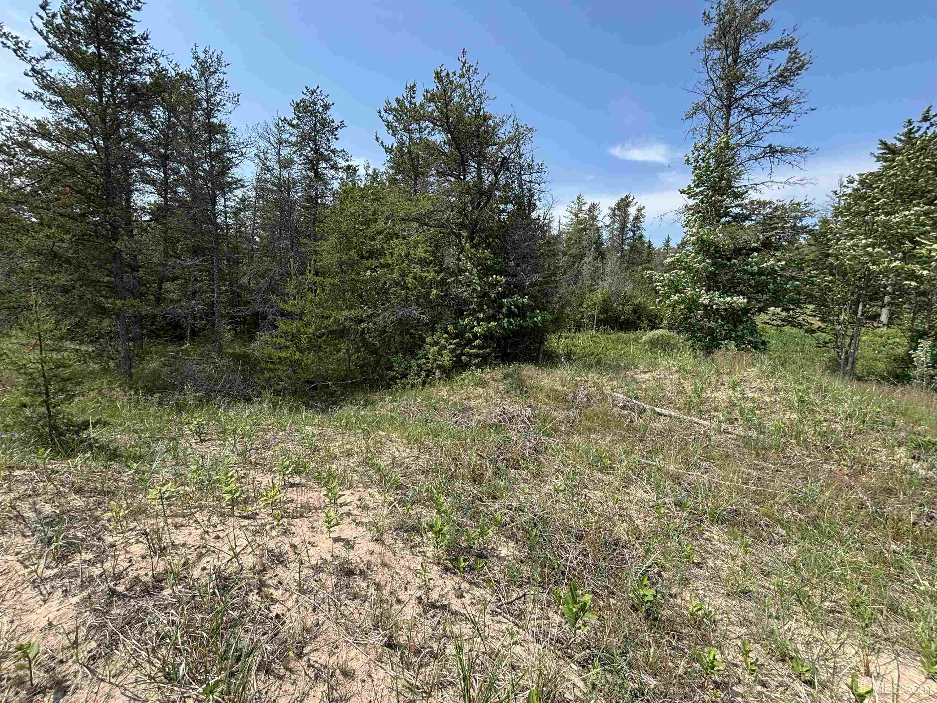 Tbd West Beach Road Naubinway, MI 49762 - Photo 33 of 45