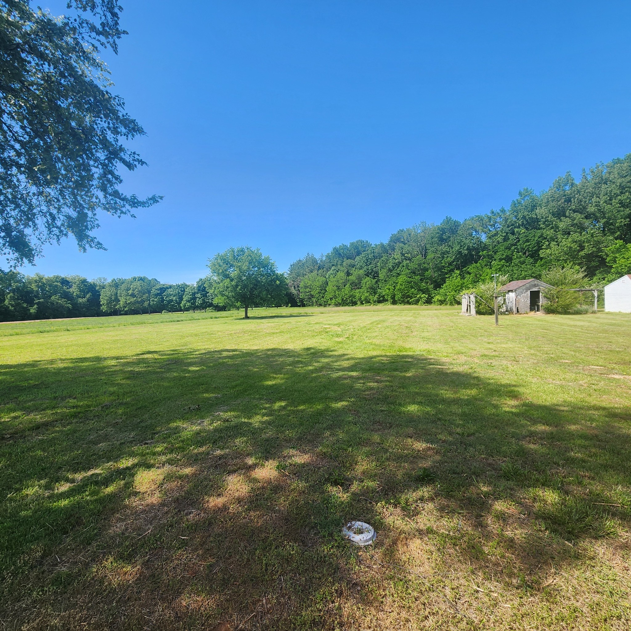 4774 Boyd Holland Road Springfield, TN 37172 - Photo 10 of 22