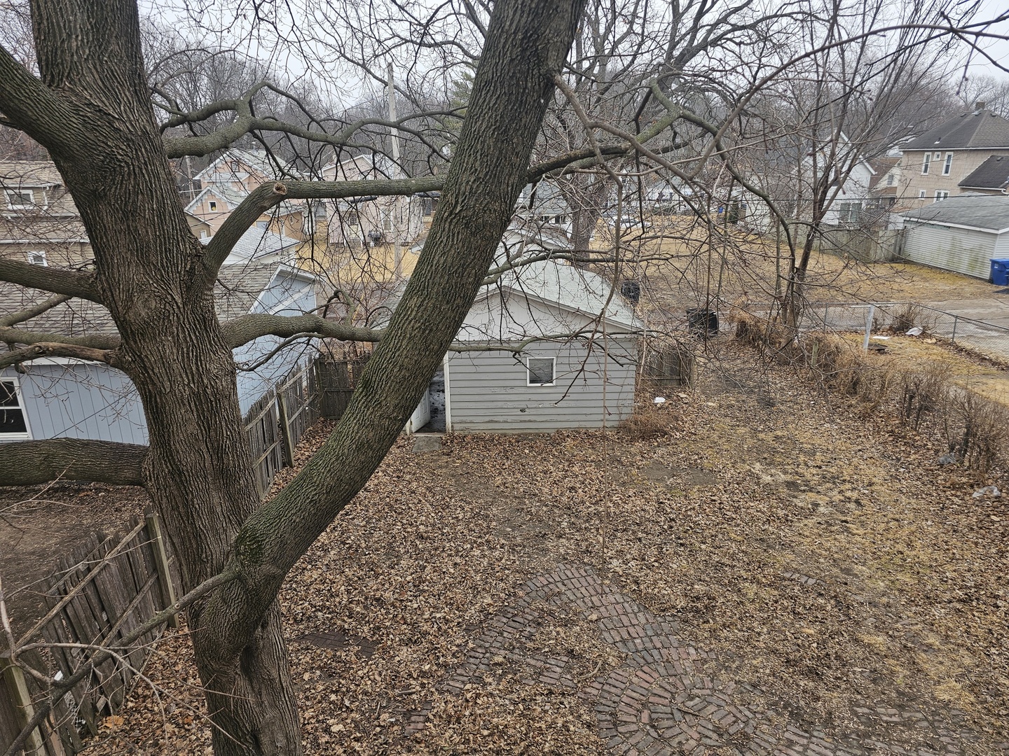 1114 25th Street Moline, IL 61265 - Photo 5 of 18 a view of a yard with a tree