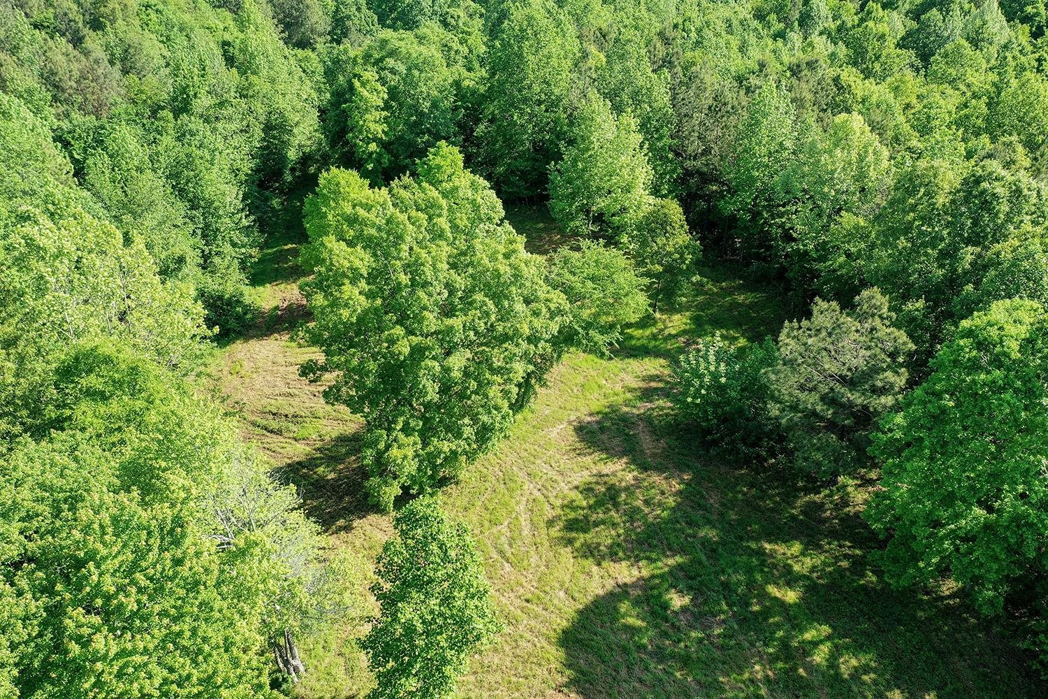 145 Gardiner Road Dresden, TN 38225 - Photo 14 of 16 Photo 14