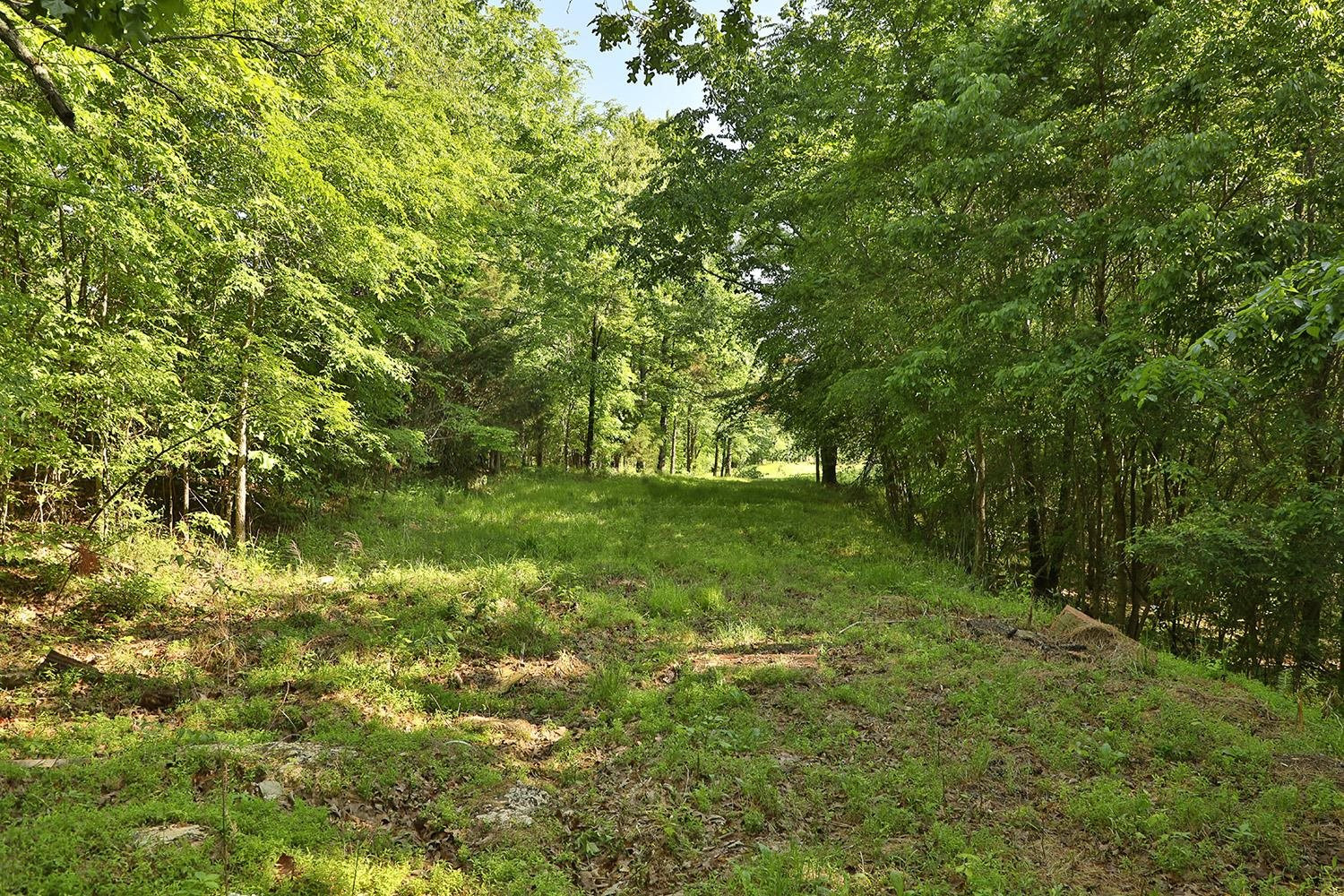 145 Gardiner Road Dresden, TN 38225 - Photo 3 of 16 Photo 3