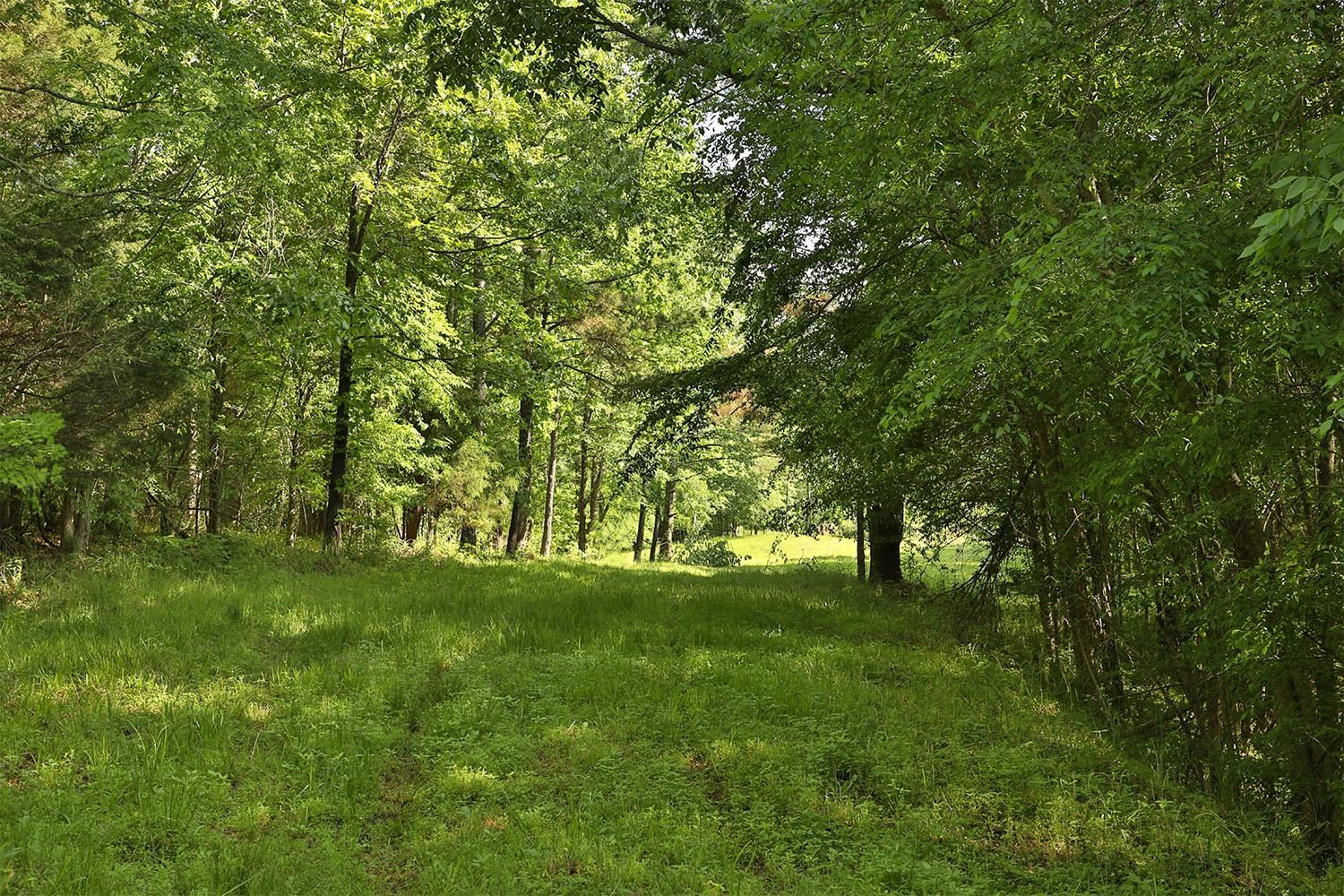 145 Gardiner Road Dresden, TN 38225 - Photo 4 of 16 Photo 4