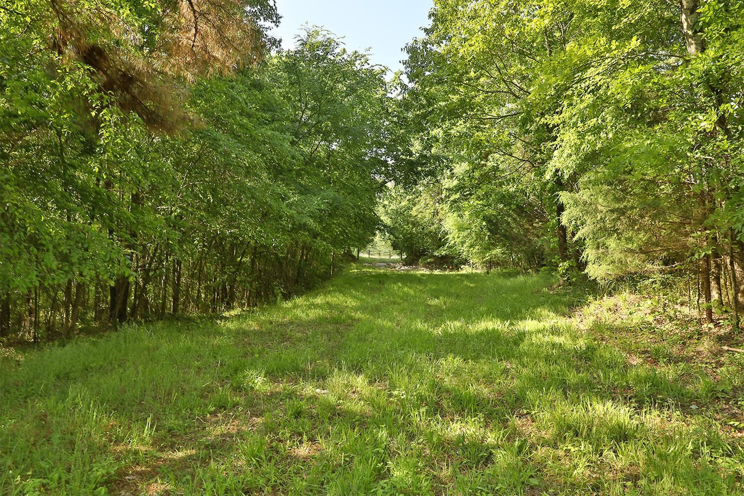 145 Gardiner Road Dresden, TN 38225 - Photo 6 of 16 Photo 6