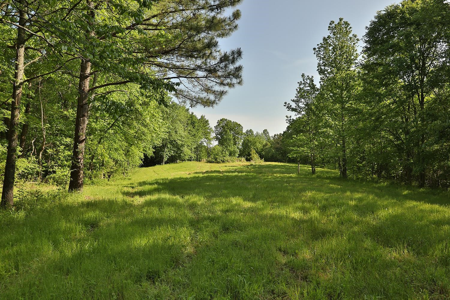 145 Gardiner Road Dresden, TN 38225 - Photo 7 of 16 Photo 7