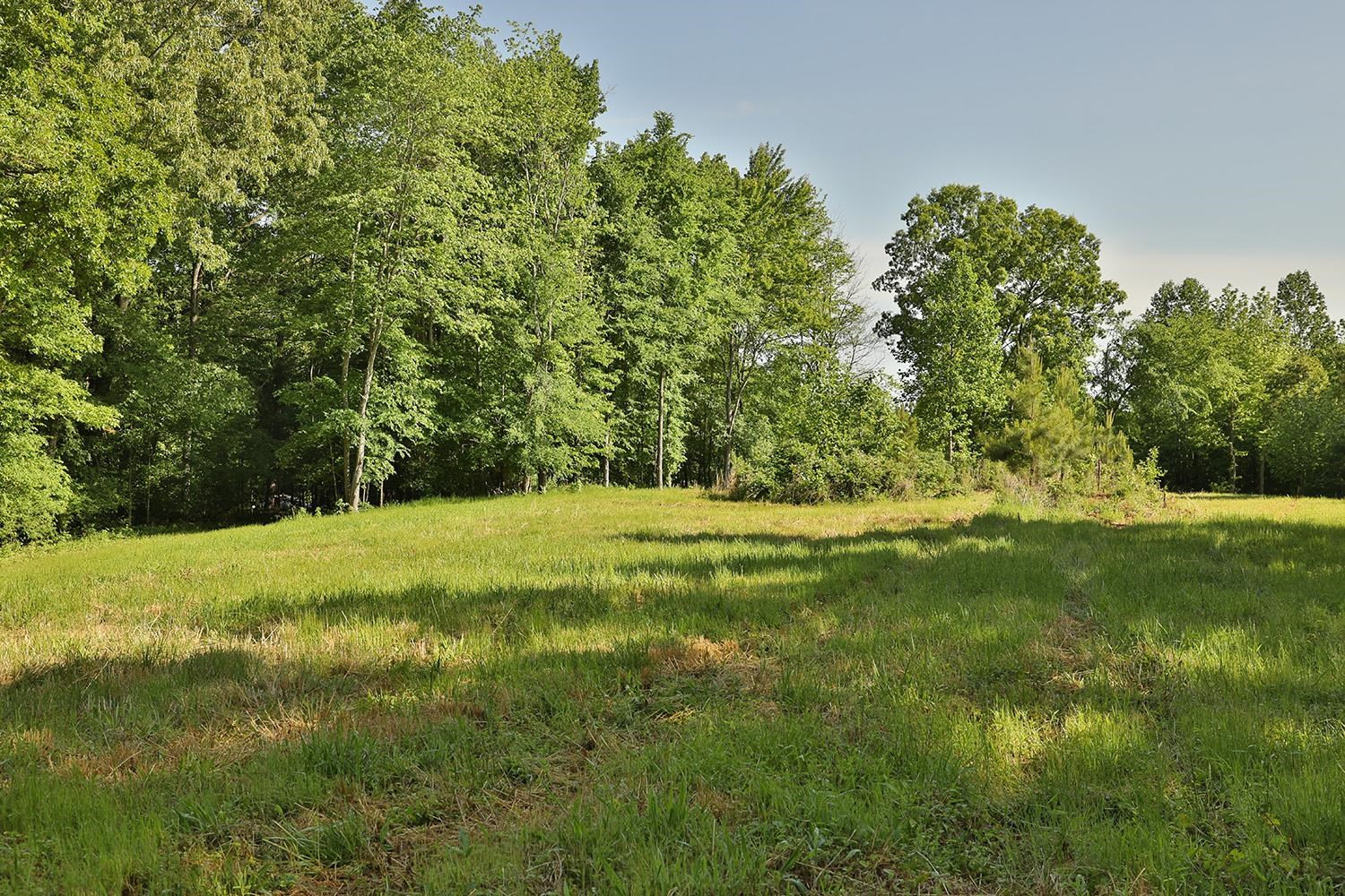 145 Gardiner Road Dresden, TN 38225 - Photo 8 of 16 Photo 8