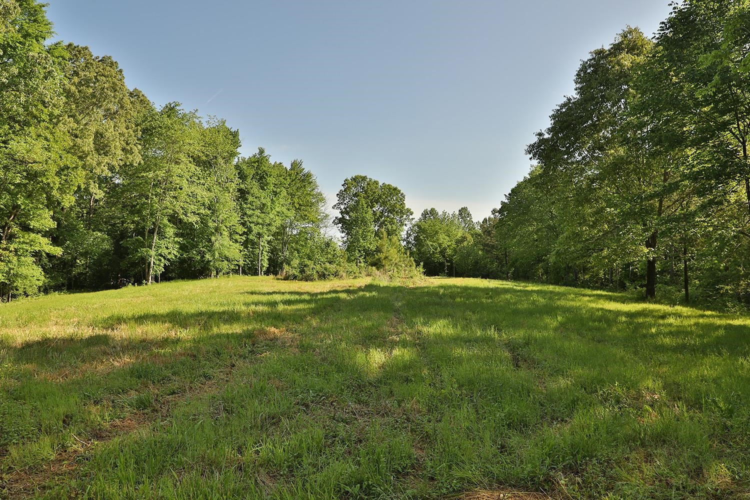 145 Gardiner Road Dresden, TN 38225 - Photo 9 of 16 Photo 9