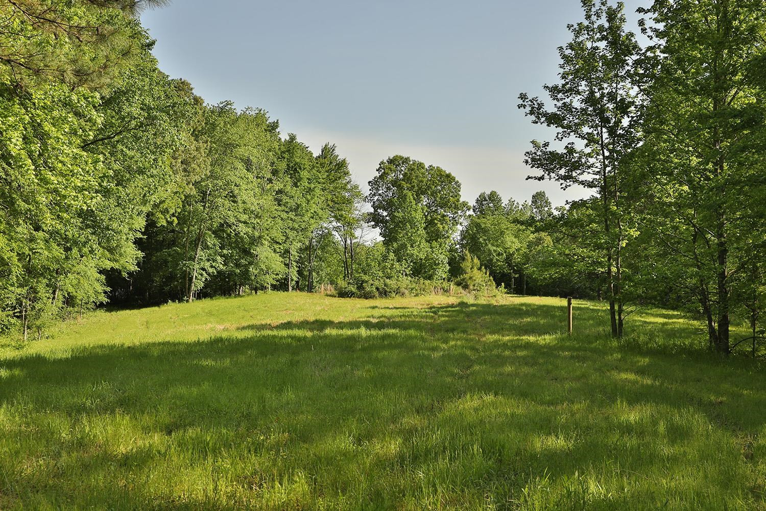 145 Gardiner Road Dresden, TN 38225 - Photo 10 of 16 Photo 10