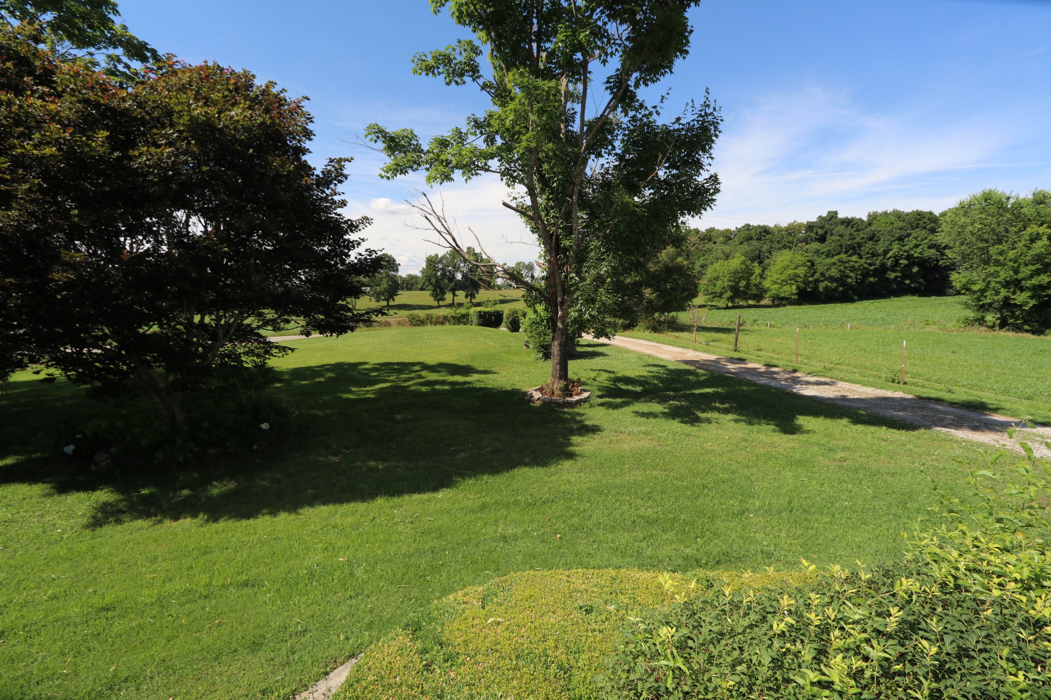 1040 Harpo Road Manchester, TN 37355 - Photo 22 of 47 a view of a golf course with a lake