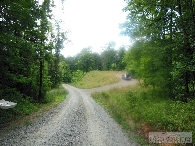 Lot #4 Mitchell Mountain Road Sparta, NC 28675 - Photo 1 of 2 Gallery Image 1