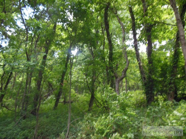 Lot #4 Mitchell Mountain Road Sparta, NC 28675 - Photo 2 of 2 Gallery Image 2