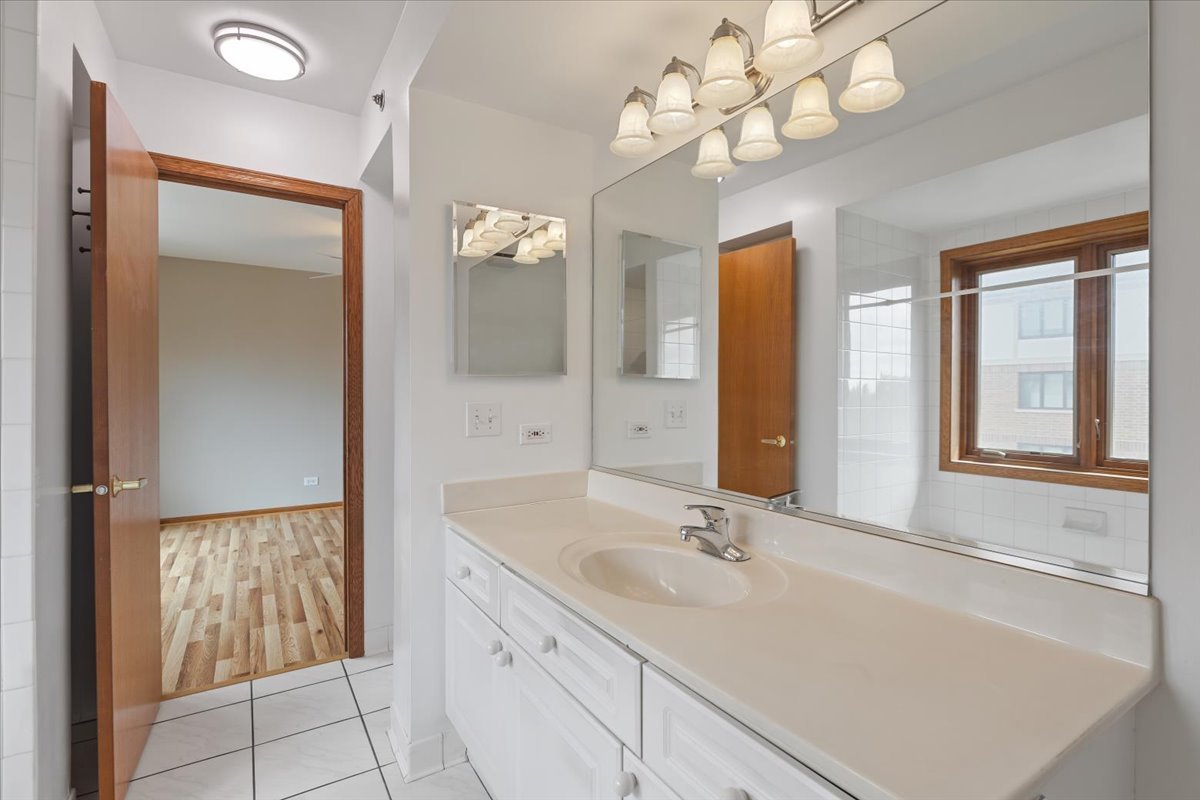 5 South Pine Street, Unit 509 Mount Prospect, IL 60056 - Photo 17 of 31 a bathroom with a sink vanity and a mirror