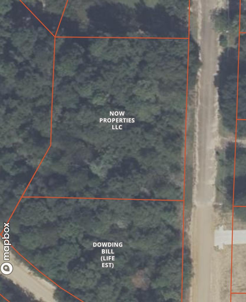 0 Bauman Road Ashford, AL 36312 - Photo 1 of 1