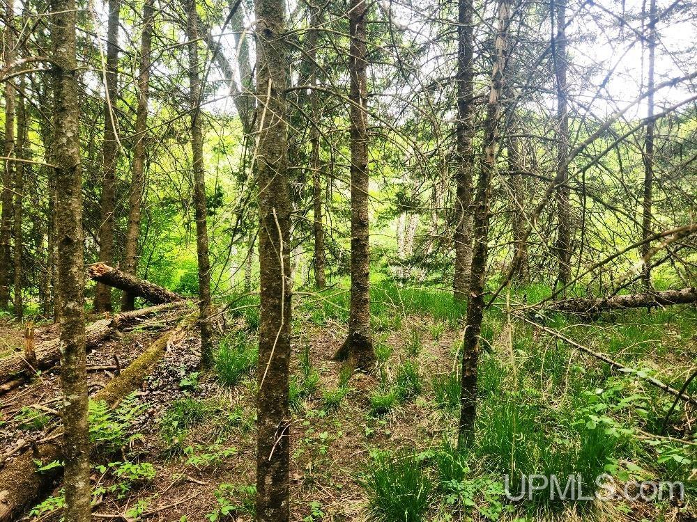 Lot 5 Wilderness Way Road Crystal Falls, MI 49920 - Photo 12 of 25