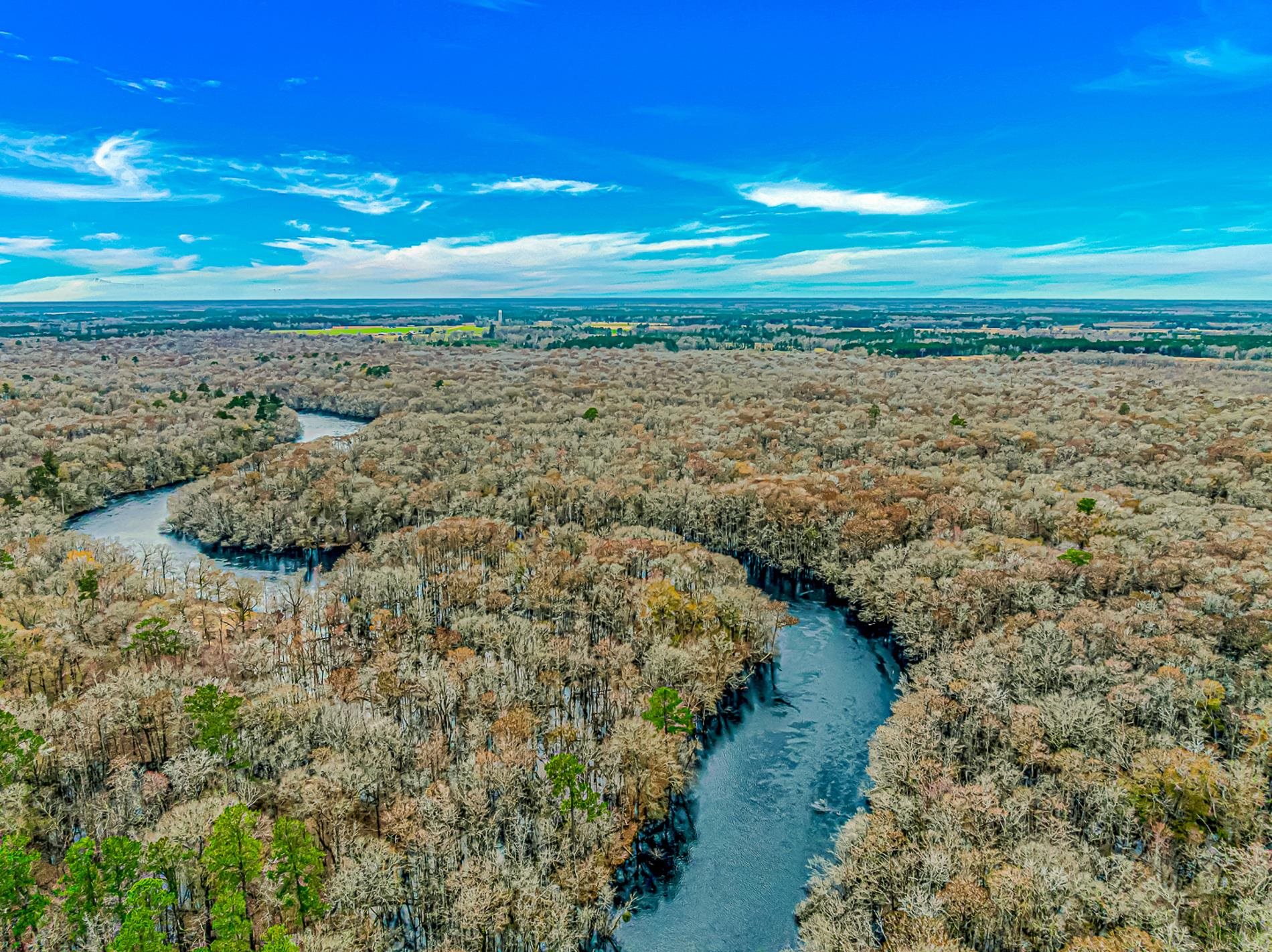 4247 Black Island Road Galivants Ferry, SC 29544 - Photo 29 of 30