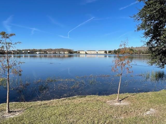 10866 Sunset Ridge Lane Orlando, FL 32832 - Photo 53 of 74 a view of a lake from a yard