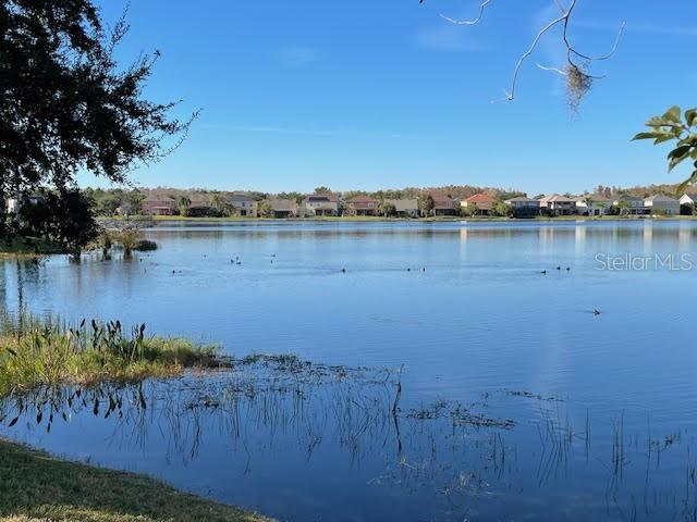 10866 Sunset Ridge Lane Orlando, FL 32832 - Photo 54 of 74