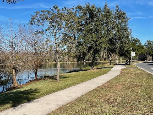 10866 Sunset Ridge Lane Orlando, FL 32832 - Photo 63 of 74 a view of park with large trees