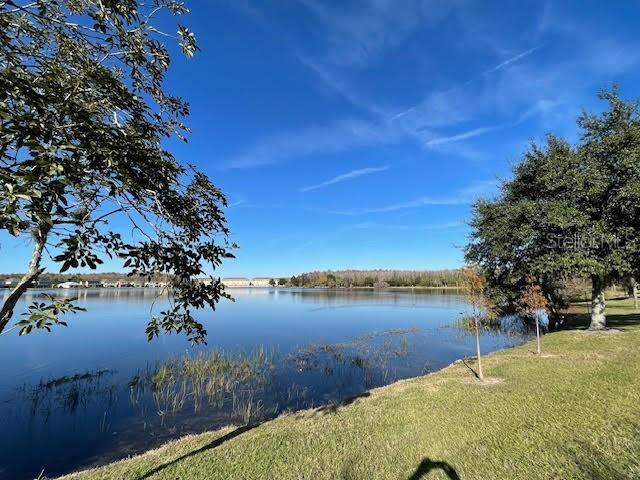 10866 Sunset Ridge Lane Orlando, FL 32832 - Photo 64 of 74