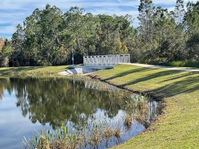 10866 Sunset Ridge Lane Orlando, FL 32832 - Photo 68 of 74 a view of a lake from a yard