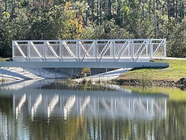 10866 Sunset Ridge Lane Orlando, FL 32832 - Photo 69 of 74 a view of house next to a lake with a house