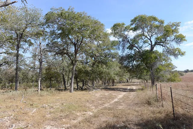$1,495,000 | 1111 Pine Ranch Road, Seguin, TX 78155