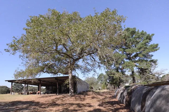 $1,495,000 | 1111 Pine Ranch Road, Seguin, TX 78155