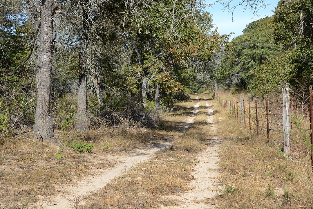 1111 Pine Ranch Road Seguin, TX 78155 - Photo 7 of 50