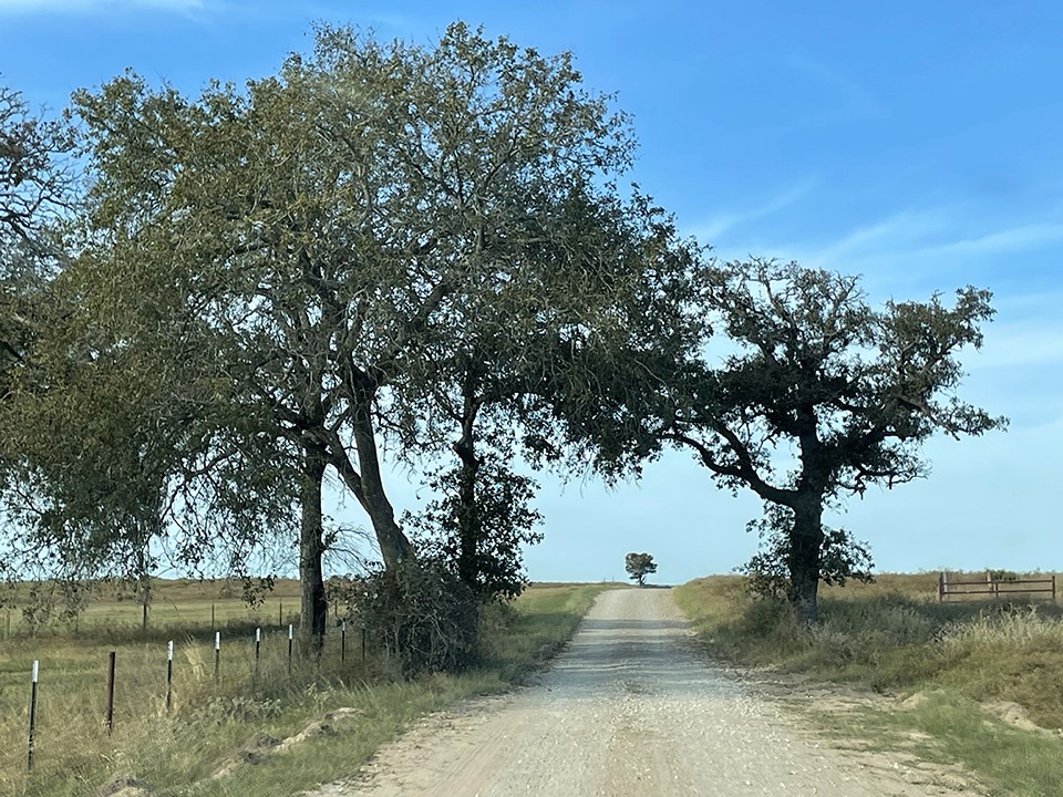 1111 Pine Ranch Road Seguin, TX 78155 - Photo 8 of 50 Gravel road to property