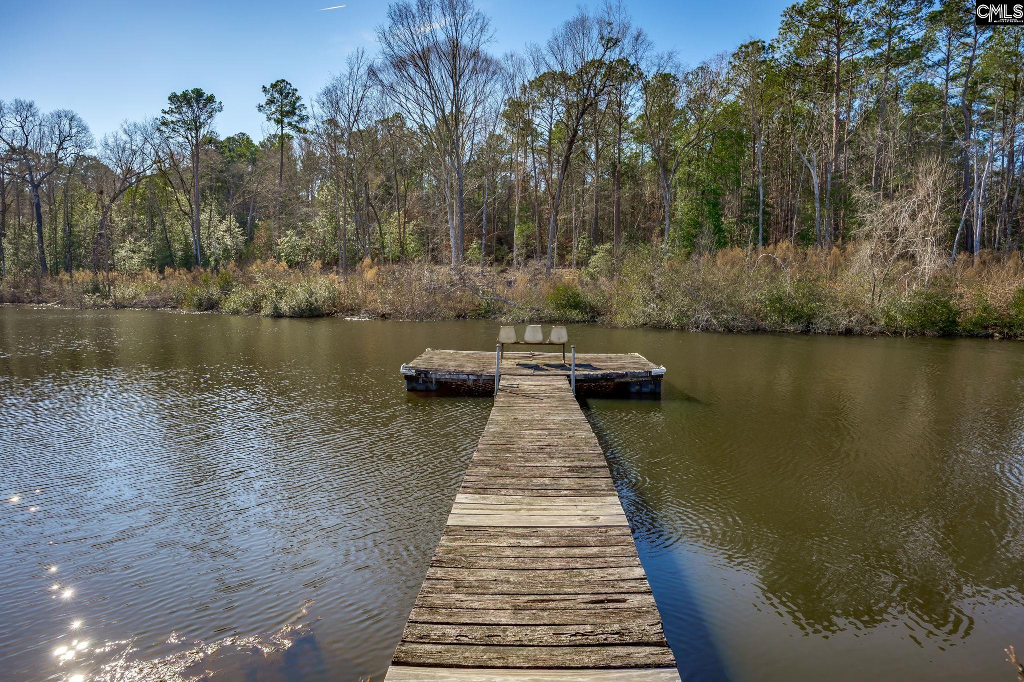 501 Crooked Creek Road Chapin, SC 29036 - Photo 18 of 28