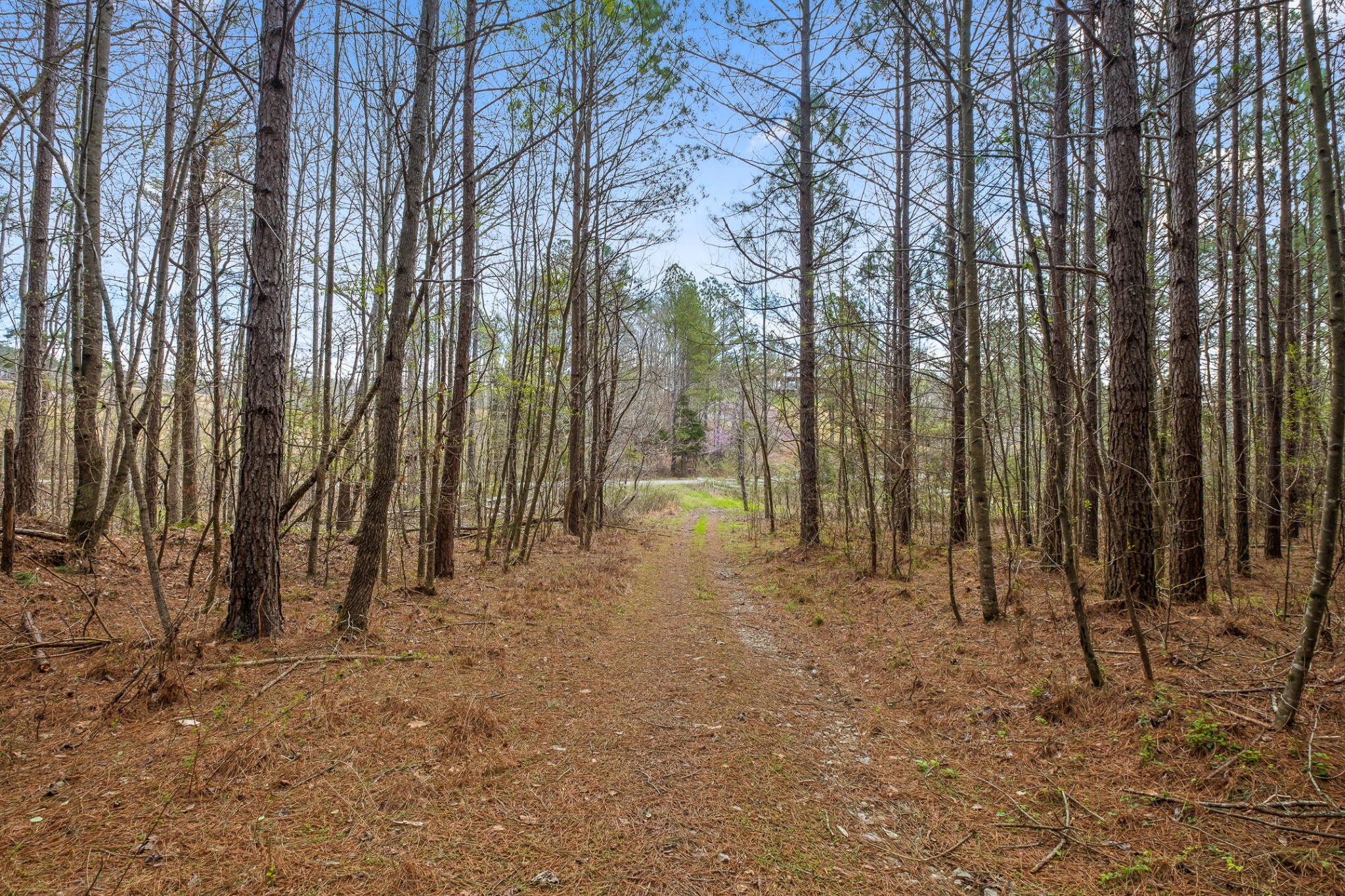 2041 Plank Road Decatur, TN 37322 - Photo 31 of 36 Gallery Image 31