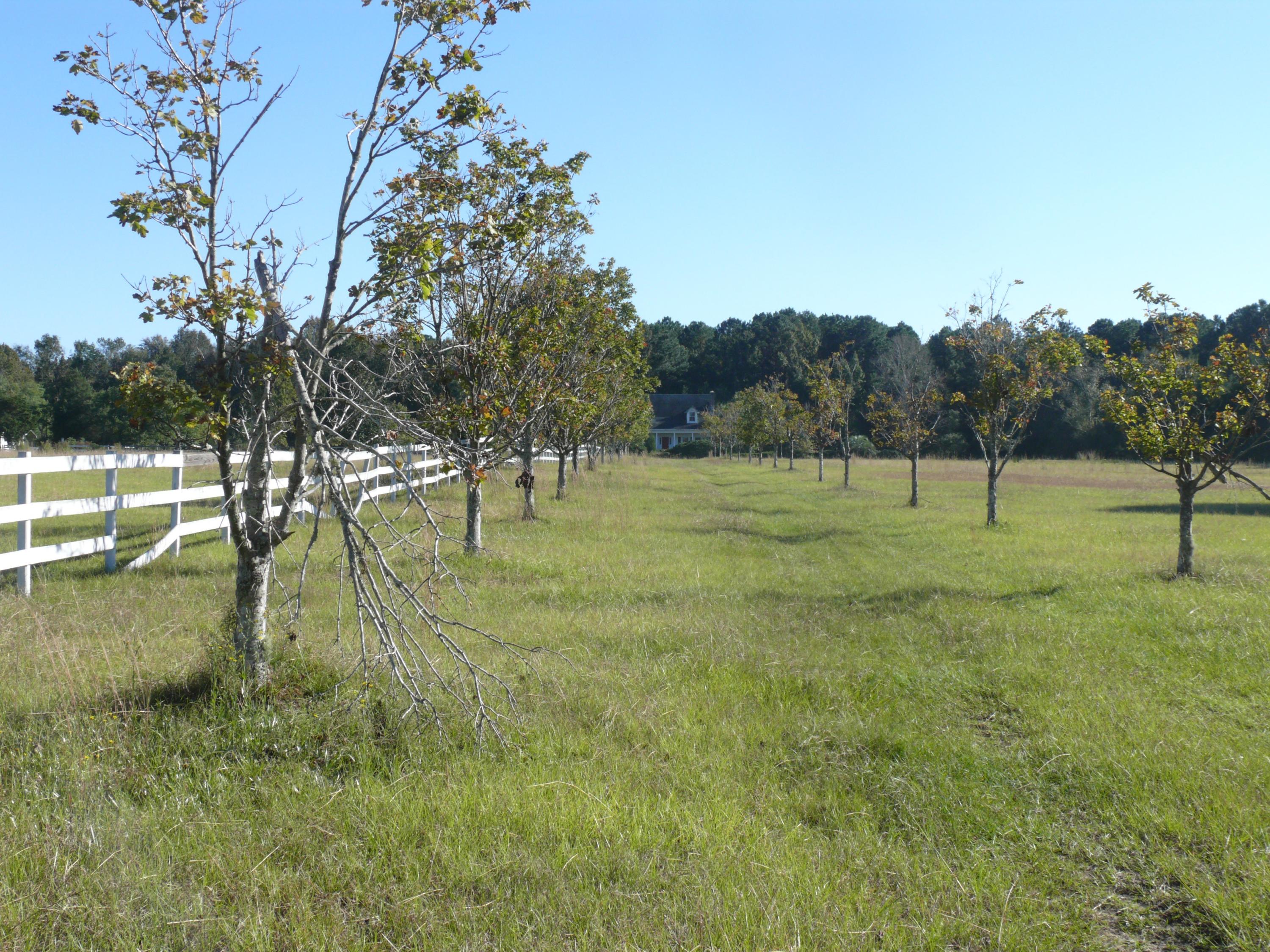 4925 Seewee Road Awendaw, SC 29429 - Photo 1 of 4 entrance