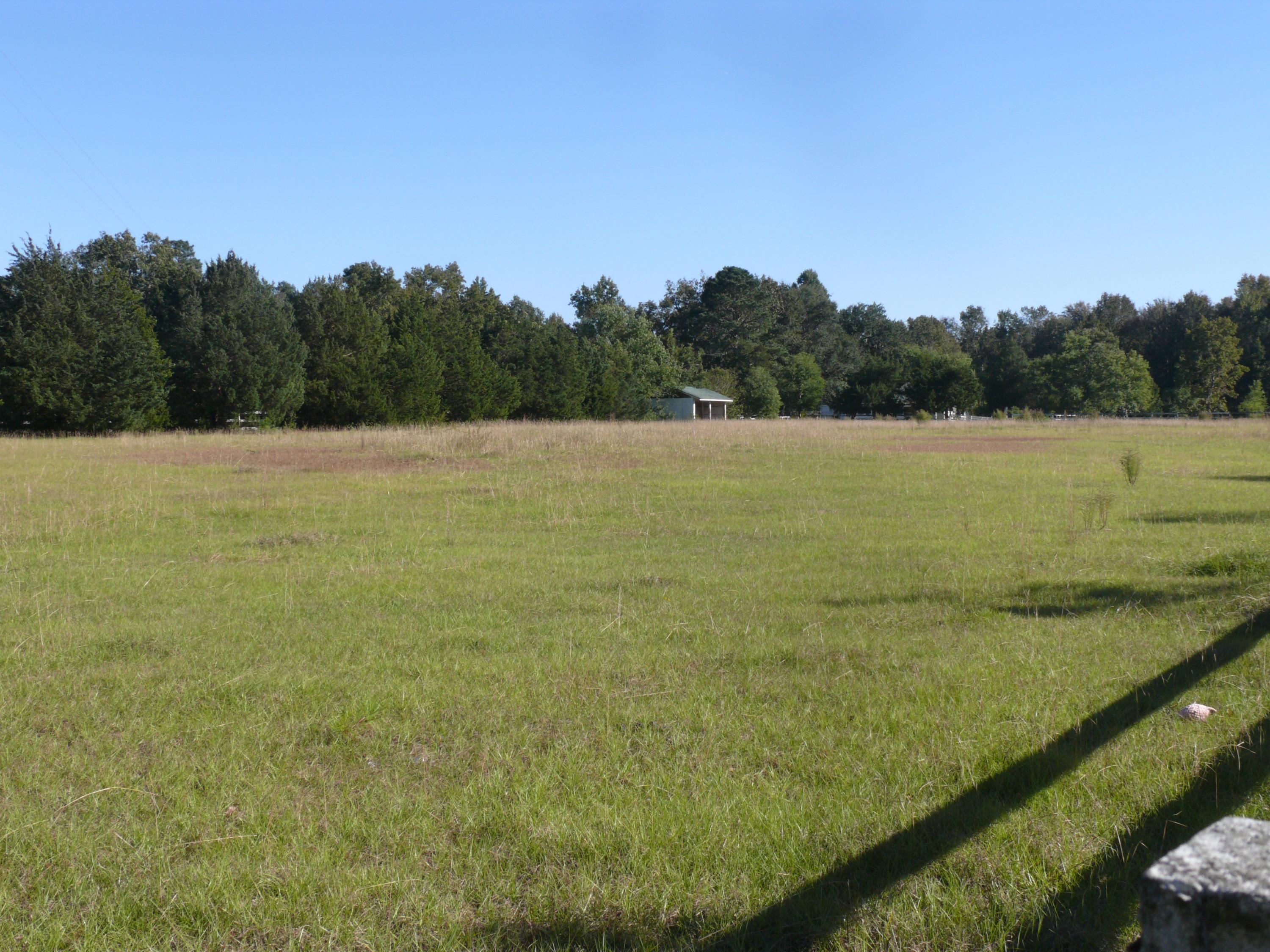 4925 Seewee Road Awendaw, SC 29429 - Photo 2 of 4 4925 seewee
