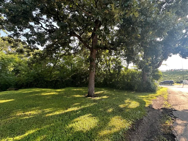 a view of a trees with a yard