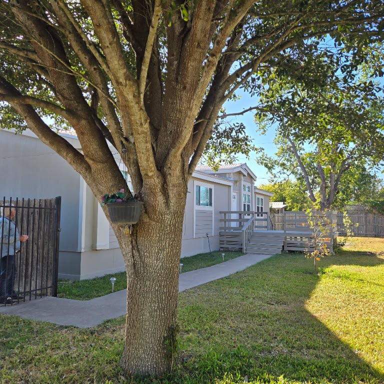 a large tree in the garden in the front of a house