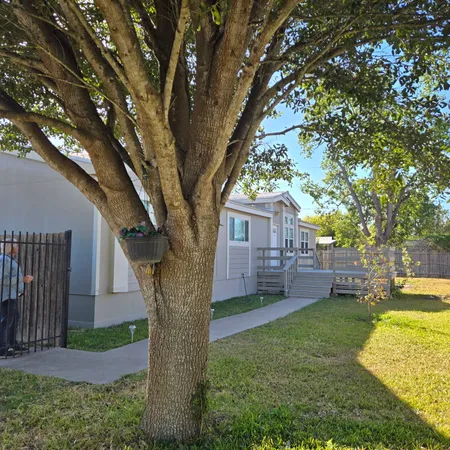 a large tree in the garden in the front of a house